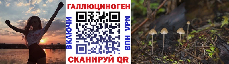 Псилоцибиновые грибы Psilocybine cubensis Туран